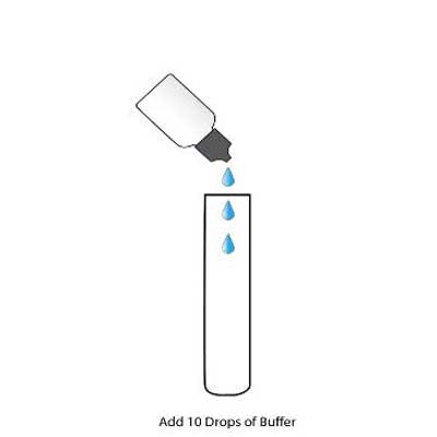 add-buffer-drops-rapid-test