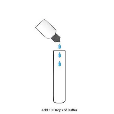 add-buffer-drops-rapid-test