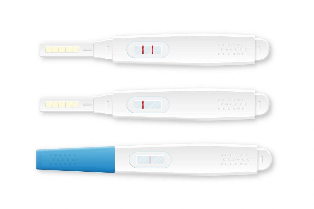 How Does a Home Pregnancy Test Work -RTTC